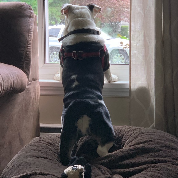 Meet your Posher, Michael - Picture 1 of 1